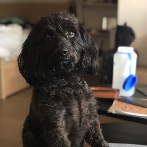 Meet your Posher, Sara